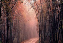 埃贝尔：我们没能拿到分数扩大领先优势，我们很恼火.