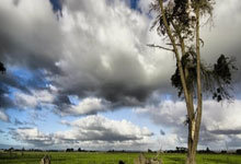 安博体育：英联杯前瞻，热刺主场复仇难，利物浦争取首回合胜利奠定晋级基础.