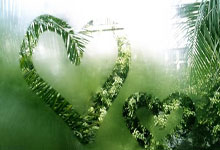 中甲 女甲--双甲出征！广西平果引燃壮乡豪情.